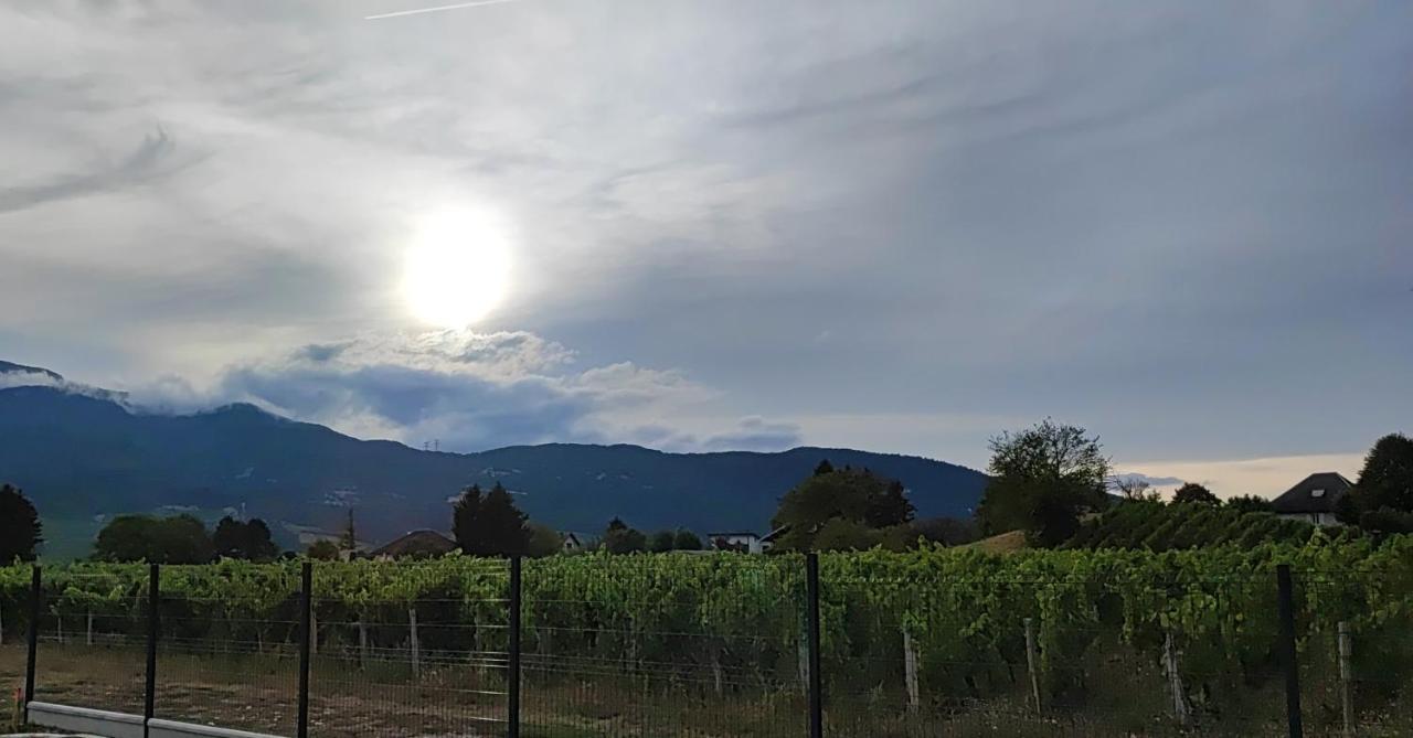 Chambre Au Coeur Des Vignes Myans Экстерьер фото